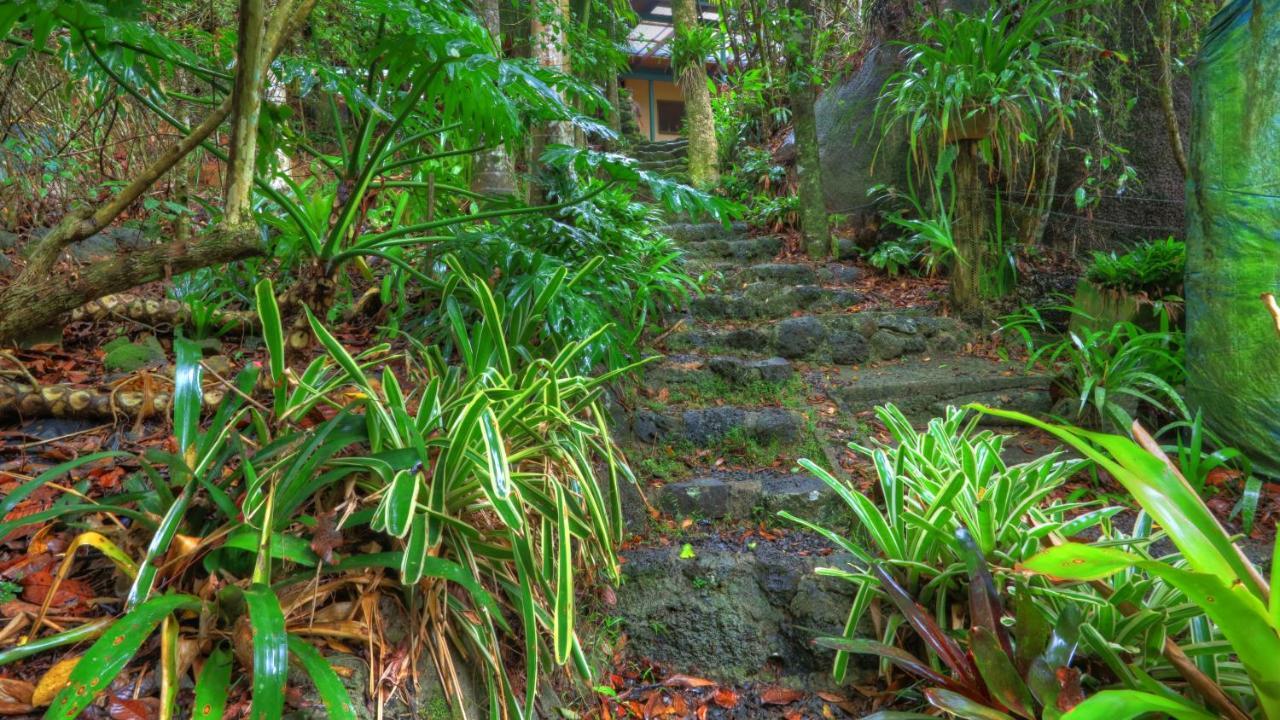 Riversong Retreat Bed & Breakfast Millaa Millaa Exterior foto