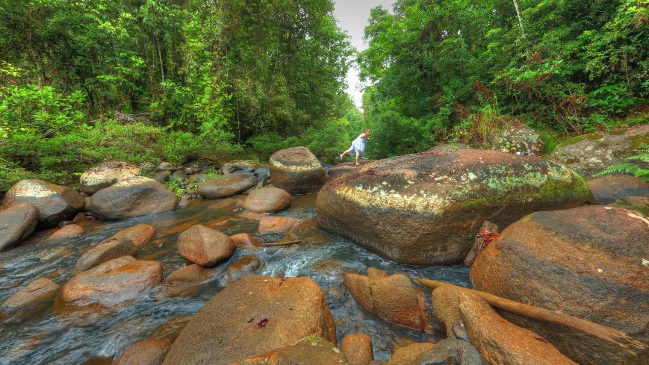 Riversong Retreat Bed & Breakfast Millaa Millaa Exterior foto